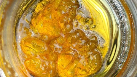 Apothecary Extracts Live Ambrosia 40g for $1000 OTD!!