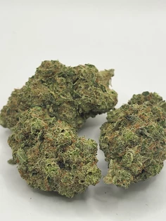 April Exotics All Strains All Month Under $100