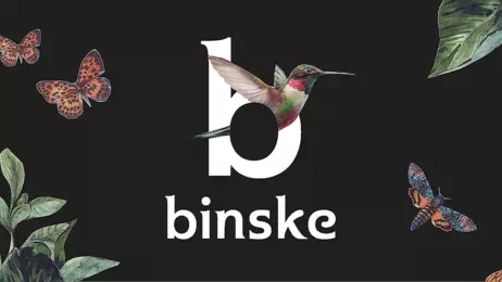 20% Off Binske Products