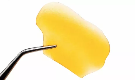 1 gram Sofa King concentrates $11 after tax