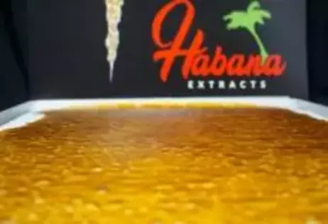 4 grams of  Habana Extracts Wax/Shatter $45 OTD