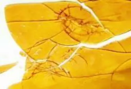 $18 - West Edison Wax or Shatter
