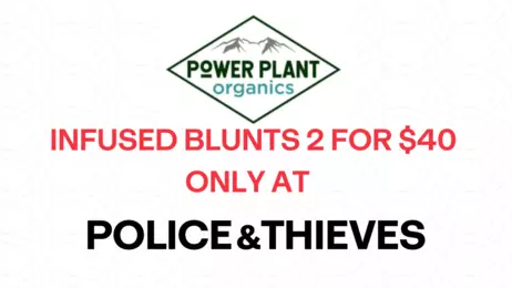 2 Power Plant Organic Infused Blunts for $40