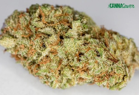 North Cannabis Company 1/8 Flower $25