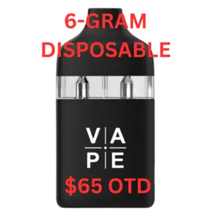 6-GRAM DISPOSABLE FOR $65 OTD