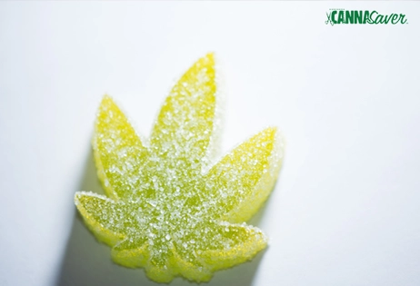 LEVIA Cannabis Infused Seltzer $6.00 each
