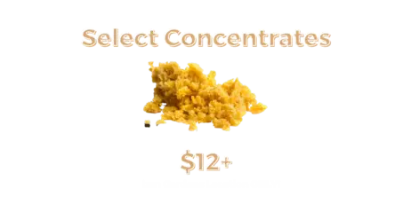 Concentrates Starting at $12+