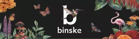 Binske Live Resin 500mg Carts $35 OTD