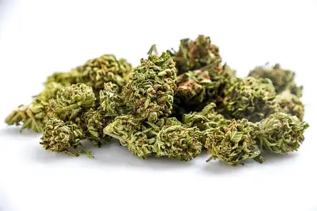 Select Ounce Special $59 OTD