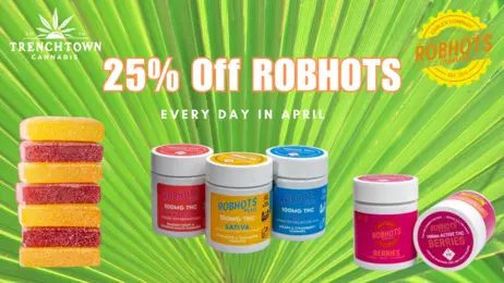 25% off Robhots