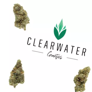 REC $8 PLATINUM JOINT & CLEARWATER JOINT