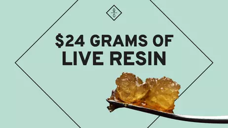 $24 Grams of Live Resin OTD