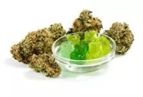 25% OFF ALL EDIBLES