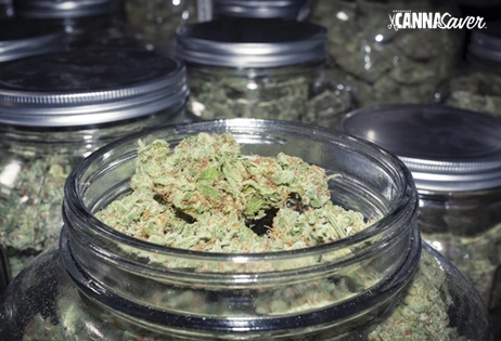 Mondays - $99 Pre-Packed Ounces,  2 For $40 Canamo Cannabis Pre-Packed 1/8ths