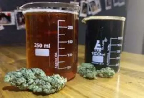 5% OFF Buds & Beers: A Weed and Brewery Tour